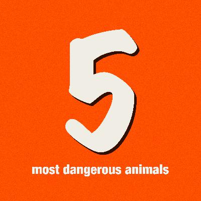 5 most dangerous animals 5 most dangerous animals