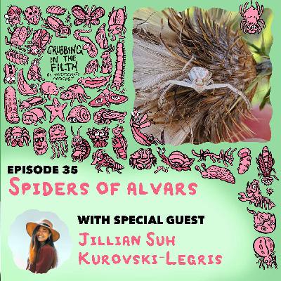 Spiders of Alvars with Jillian Suh Kurovski-Legris