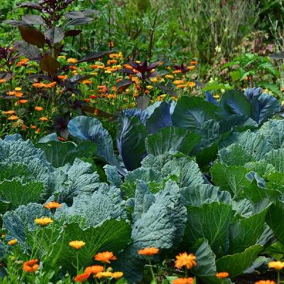 ¿Qué factores son tóxicos hoy en día?