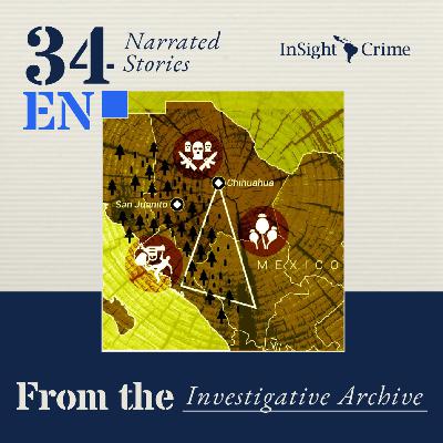 How Drug Cartels Moved into Illegal Logging in Mexico How Drug Cartels Moved into Illegal Logging in Mexico