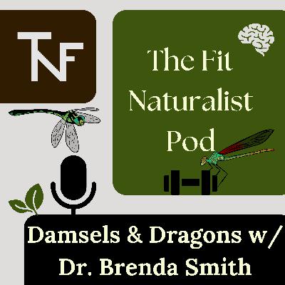 Damsels & Dragons with Dr. Brenda Smith