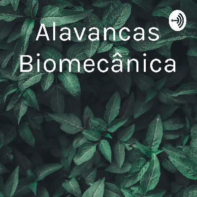 Pequena fala sobre as alavancas do corpo humano