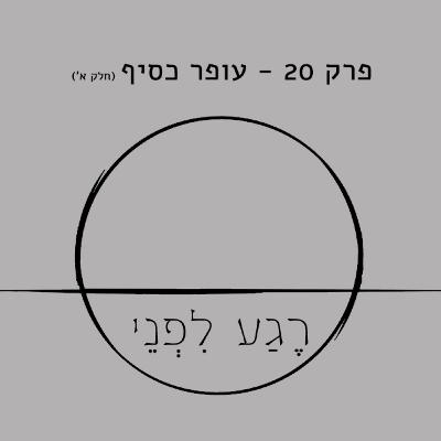 פרק 20 - עופר כסיף (חלק א')