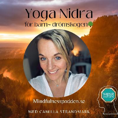 Yoga Nidra för barn - resan till drömskogen (10 min)