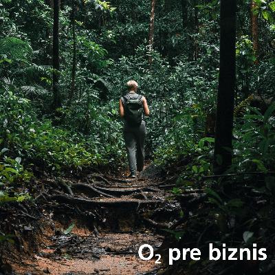 Ako chráni umelá inteligencia pralesy a čo prinesie 5G do sveta biznisu?