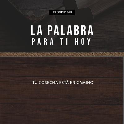 639: Tu cosecha está en camino