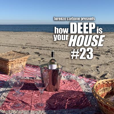 how Deep is your HOUSE #23