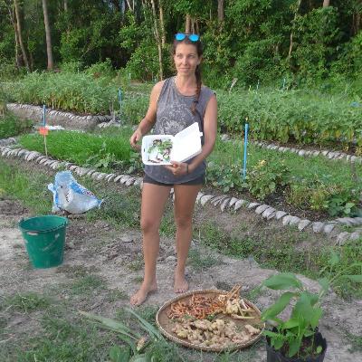 In conversation with Taylor in Thailand about their community garden In conversation with Taylor in Thailand about their community garden