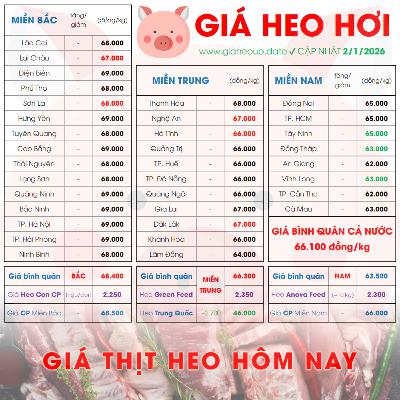 GIÁ LỢN HƠI 2/1/2026 ✅ GIÁ THỊT HEO HÔM NAY & TIN TỨC CHĂN NUÔI #GIAHEOHOI #GIATHITHEO #TET2026