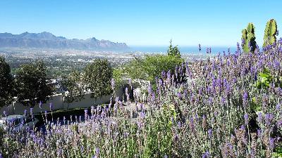 How To Strengthen Yourself In The Lord - Hans Raubenheimer (Somerset West)