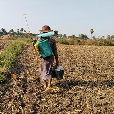 Fertilizer Shortage | English Lesson