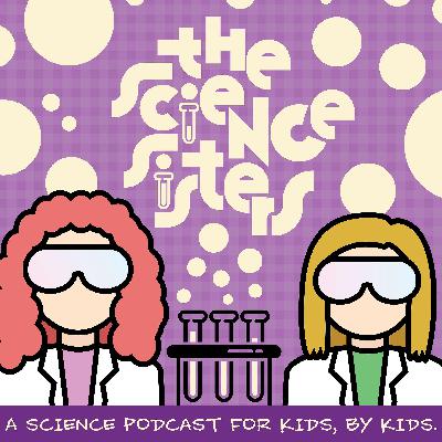 Bonus Episode - A Question from Grayson!