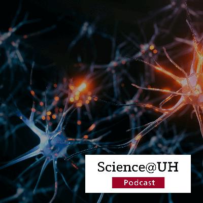 Can Inhibiting 15-PGDH Enzyme Protect Against Cognitive Decline in TBI Patients?