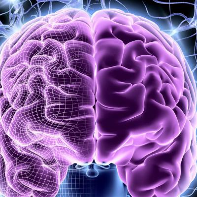 你的大脑，是神殿还是魔鬼的作坊？BRAIN