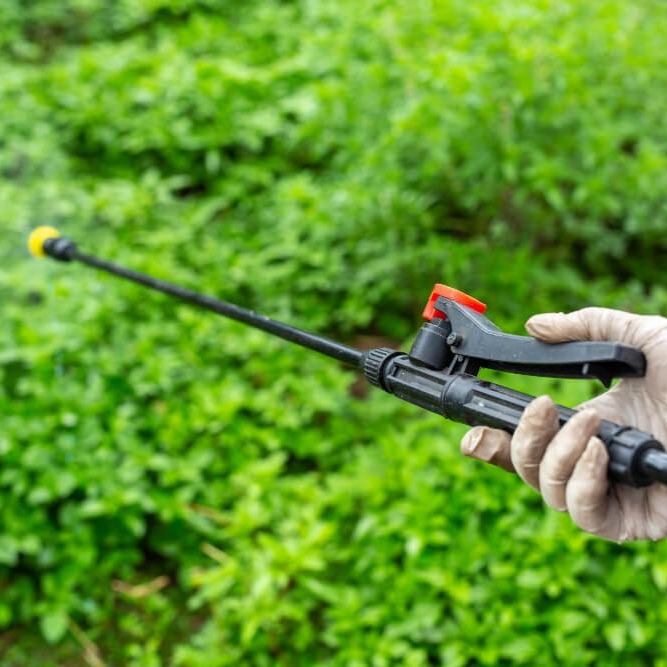 5 Signs Your Lawn Needs Professional Sprinkler Repair Services