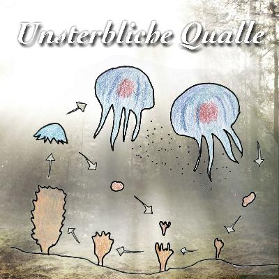 Wer will für immer leben? Wer will für immer leben?