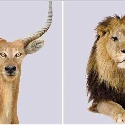 المثلية الجنسية وكيفيه حماية اولادنا - الجزء الثاني