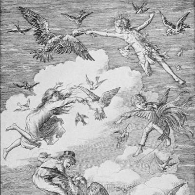 Peter Pan, An Excerpt