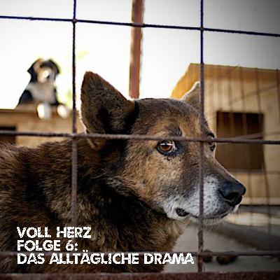 Folge 6: Das alltägliche Drama