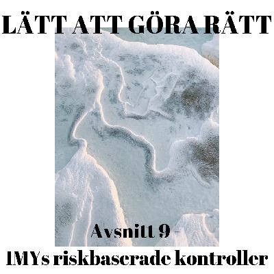 IMY tittar där det är störst risk