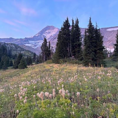 How to backpack the Timberline Trail around Mount Hood How to backpack the Timberline Trail around Mount Hood