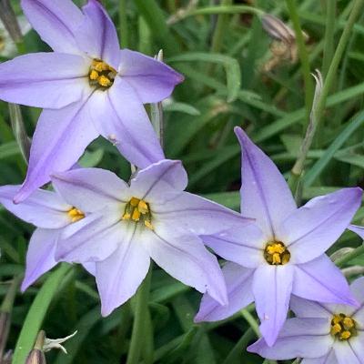 "Have a nice f**king day, Sir!"