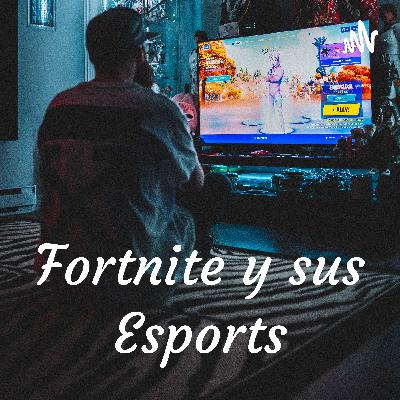 El fortnite, un boom en mi vida competitiva.