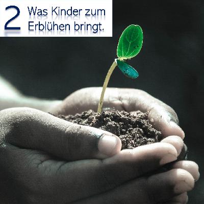 2 Was Kinder zum erblühen bringt