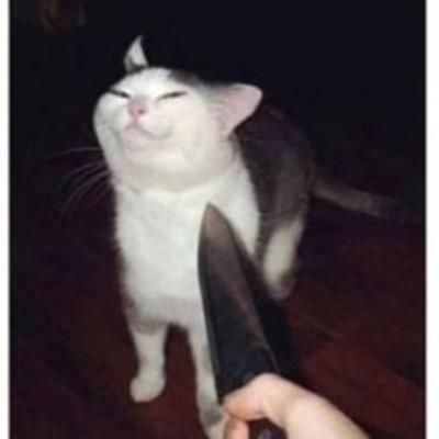 Homegoods Gone Wrong 🤪