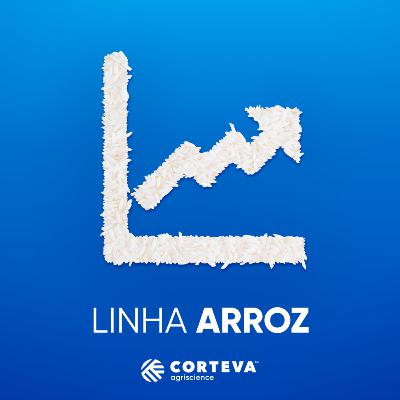 06/07 - Comentários do Mercado de Arroz com Carlos Cogo