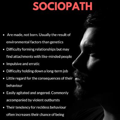 The Sociopath Society