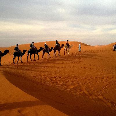Gaming Trends in Iraq and the Gulf