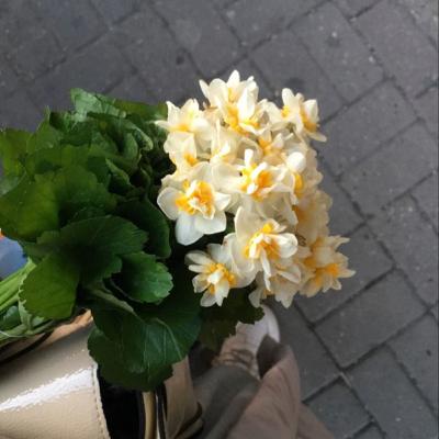 #62. Sống thử