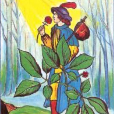 Benzimentos no dia a dia Benzimentos no dia a dia