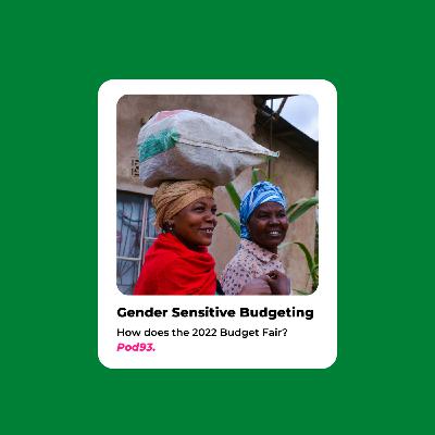 Episode 4: Gendered reflections on Zimbabwe's 2022 National Budget (Part 2)
