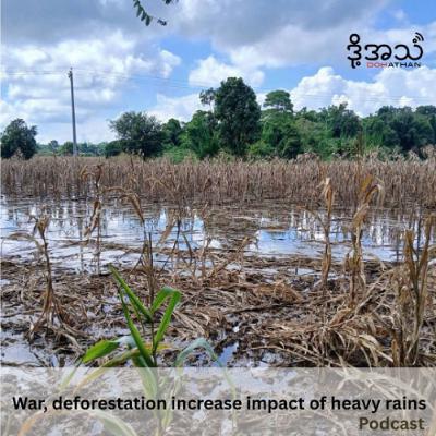 War, deforestation increase impact of heavy rains Episode :387