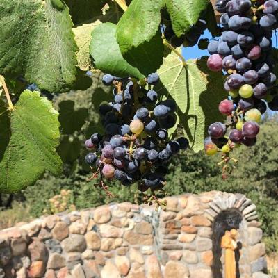 Persistence in Prayer