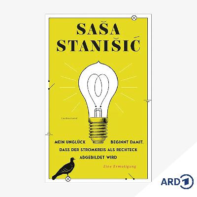 Neue Bücher: "Mein Unglück beginnt damit..." von Sasa Stanisić
