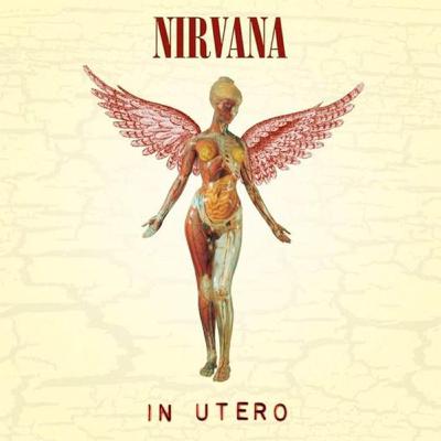 TARDES DE ROCK - NIRVANA - ANIVERSARIO 31 IN UTERO