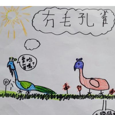 🪶《無毛孔雀》🦚  (自信/比較/自我認同)