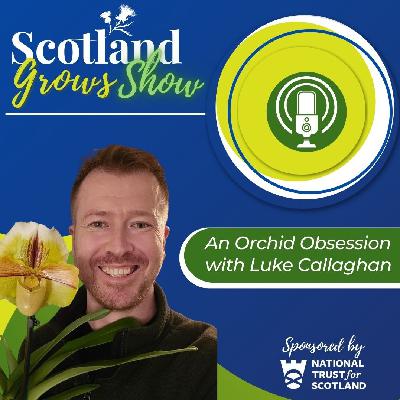 Scotland Grows Show S11 E1: An Orchid Obsession with Luke Callaghan
