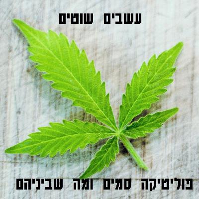 חלומות חשיש באקספרס למרקש