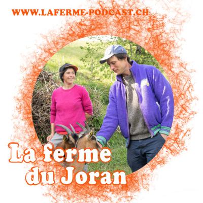 Episode 04 - La Ferme du Joran, une aventure collective de retour à la terre