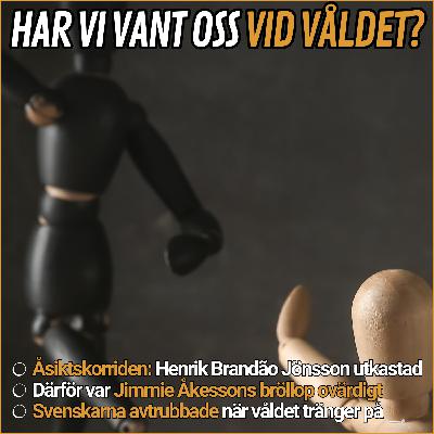 Åsiktskorridor och avtrubbning: Har svenskarna vant sig vid våldet?