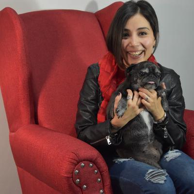 La relación perfecta, si existe… La relación perfecta, si existe…