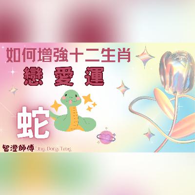 十二生肖戀愛運增強秘訣 —【屬蛇】| 屬蛇x雙魚座靈性天賦極高! 屬蛇x巨蟹座性格特質 | 愛情概括運程 | 單身如何提升桃花運 | 已婚或有伴侶如何擁有和諧及幸福生活 | 增強桃花運方法 #12生肖