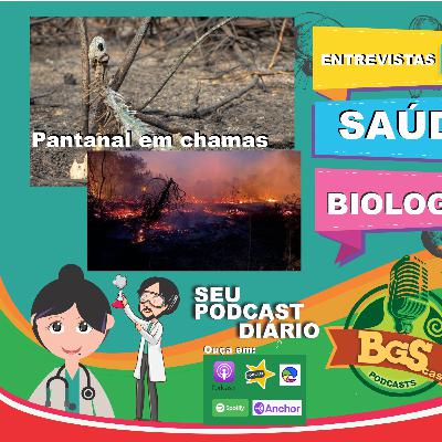 #52 - Pantanal forest in Brazil- Rebirth of fire.
