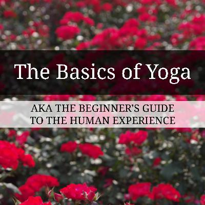 The Basics of Yoga