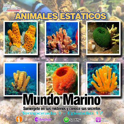 ANIMALES ESTÁTICOS