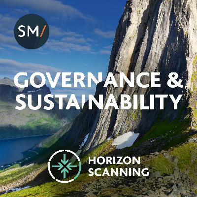 The ESG and DEI Discussion - from Brussels to Washington